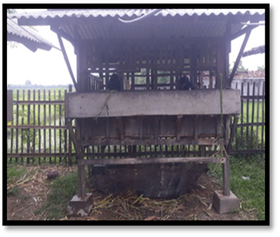 Picture4